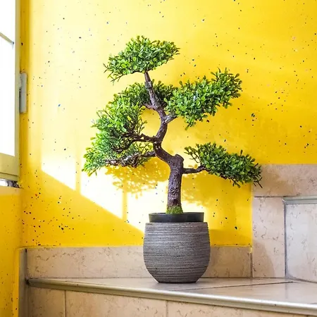 Garni Keltika 3* イゾラ